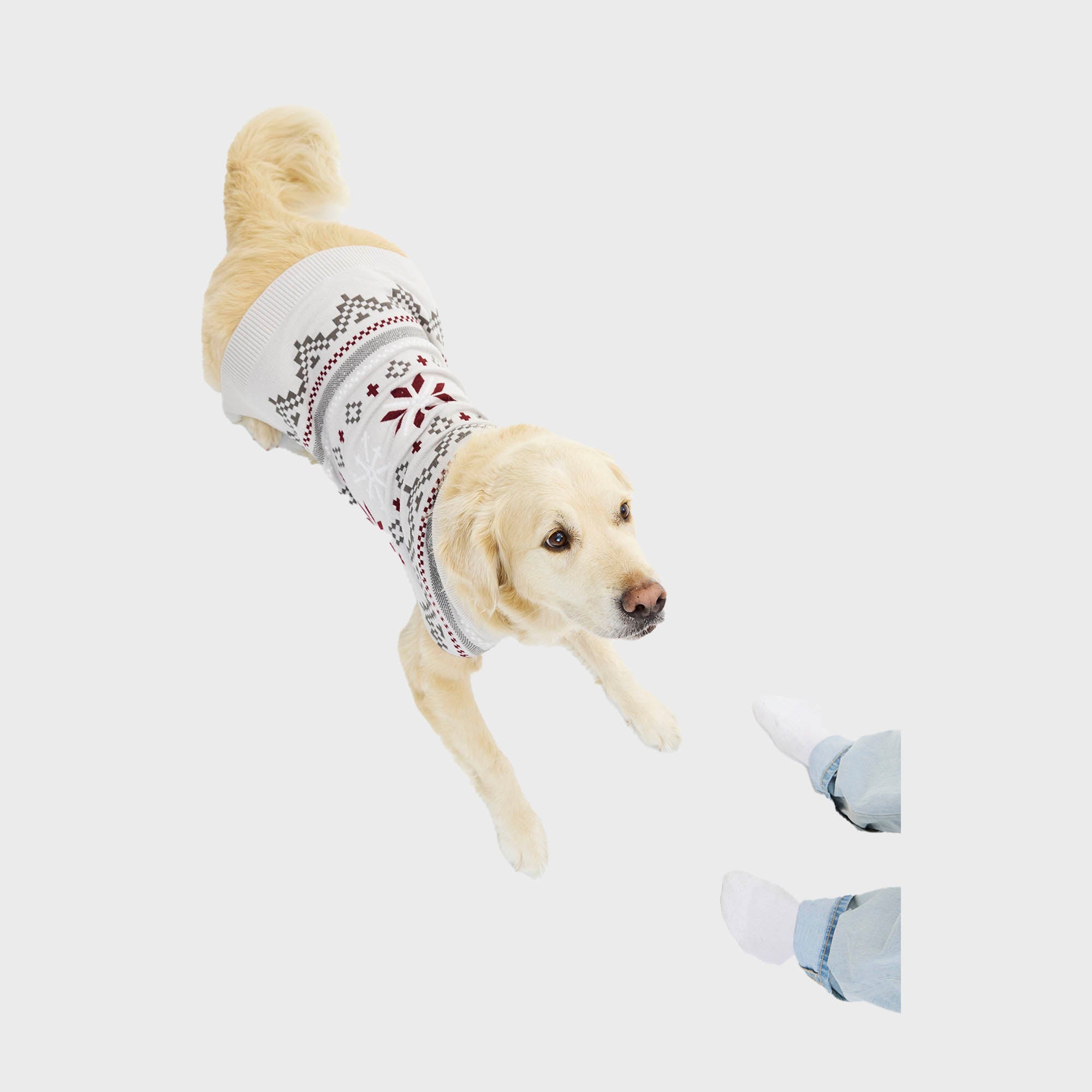Fancy Hunde-Weihnachtspullover